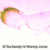 27 The Beauty Of Stormy Auras