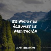 50 Pistas de áLbumes de Meditación