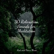 Essential Stress Relief | Calm Them Complete Relaxation