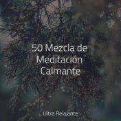 50 Mezcla de Meditación Calmante