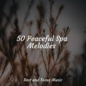 50 Peaceful Spa Melodies