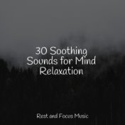 30 Soothing Sounds for Mind Relaxation