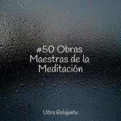 #50 Obras Maestras de la Meditación
