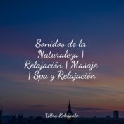 Sonidos de la Naturaleza | Relajación | Masaje | Spa y Relajación