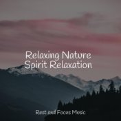 Relaxing Nature Spirit Relaxation