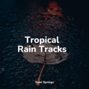 Tropical Rain Tracks