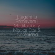 Llegará la Primavera | Meditación y Mística Spa & Serenidad