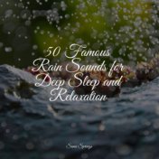 50 Famous Rain Sounds for Deep Sleep and Relaxation