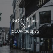 50 Calming Rain Soundscapes