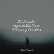 50 Sonidos Agradables Para Dormir y Meditar