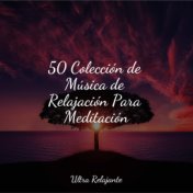 50 Colección de Música de Relajación Para Meditación