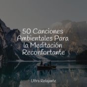 Sonidos de Meditación y Yoga