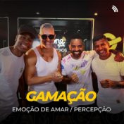 Emoção de Amar / Percepção (Acústico)