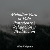 Melodías Para la Vida Consciente | Relajación y Meditación