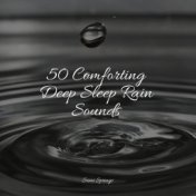 50 Comforting Deep Sleep Rain Sounds