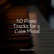 50 Piano Tracks for a Calm Mood