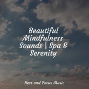 Beautiful Mindfulness Sounds | Spa & Serenity
