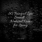 50 Tranquil Spa Sounds - Natural Rain for Lining