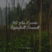 50 An Exotic Rainfall Sounds