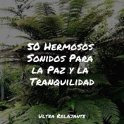 50 Hermosos Sonidos Para la Paz y la Tranquilidad