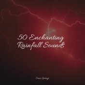 50 Enchanting Rainfall Sounds