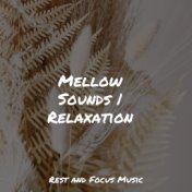 Peaceful Melodies | Sleep and Serenity