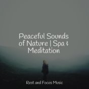 Peaceful Sounds of Nature | Spa & Meditation