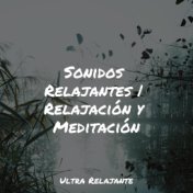 Sonidos Relajantes | Relajación y Meditación