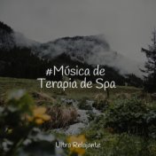 #Música de Terapia de Spa