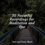 30 Powerful Recordings for Meditation and Spa