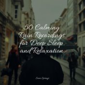 50 Calming Rain Recordings for Deep Sleep and Relaxation