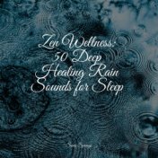 Zen Wellness: 50 Deep Healing Rain Sounds for Sleep