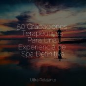 50 Grabaciones Terapéuticas Para Una Experiencia de Spa Definitiva