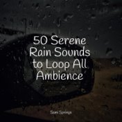 50 Serene Rain Sounds to Loop All Ambience