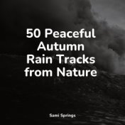 50 Peaceful Autumn Rain Tracks from Nature