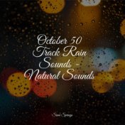 October 50 Track Rain Sounds - Natural Sounds
