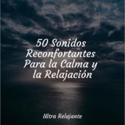 50 Sonidos Reconfortantes Para la Calma y la Relajación