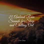 25 Light Soft Rain & Nature Sounds