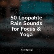 50 Loopable Rain Sounds for Focus & Yoga