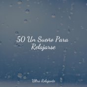 50 Un Sueño Para Relajarse