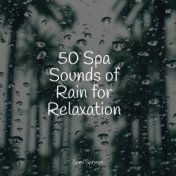 50 Spa Sounds of Rain for Relaxation