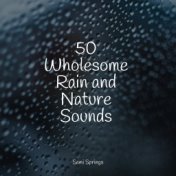 50 Wholesome Rain and Nature Sounds