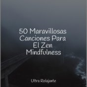 50 Maravillosas Canciones Para El Zen Mindfulness