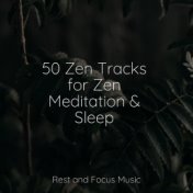 50 Zen Tracks for Zen Meditation & Sleep