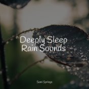 Deeply Sleep Rain Sounds