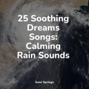 25 Soothing Dreams Songs: Calming Rain Sounds