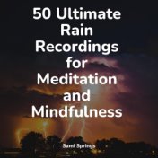 50 Ultimate Rain Recordings for Meditation and Mindfulness