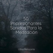 50 Impresionantes Sonidos Para la Meditación