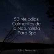 50 Melodías Calmantes de la Naturaleza Para Spa