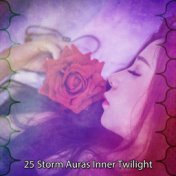 25 Storm Auras Inner Twilight